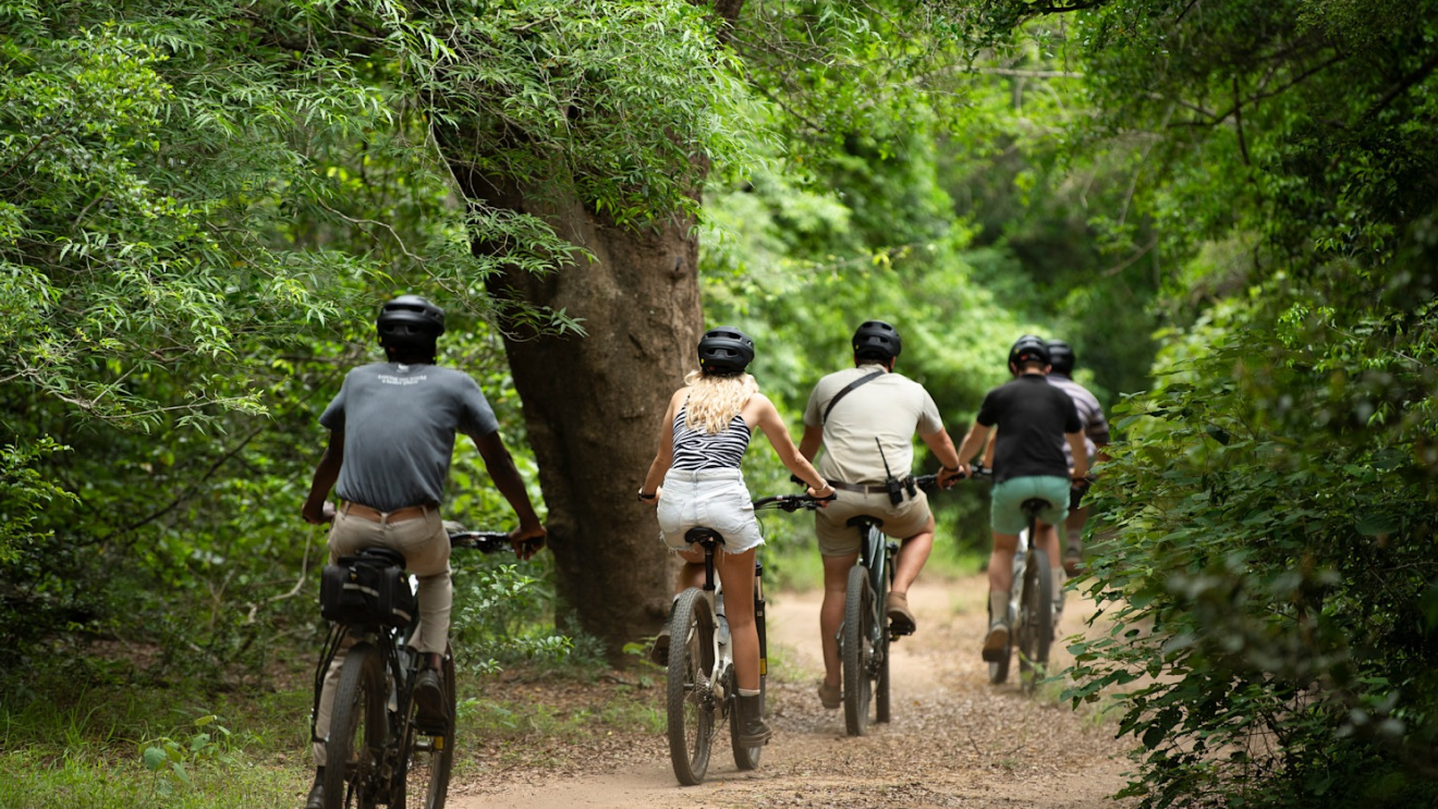 Location de vélo- demi-journée 